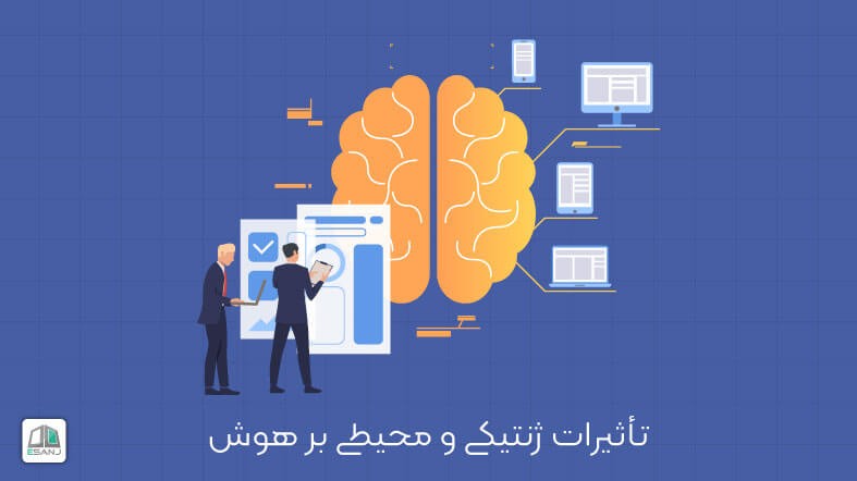 تأثیرات ژنتیکی و محیطی بر هوش